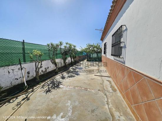 FINCA RÚSTICA CON CONSTRUCCIÓN - CADIZ