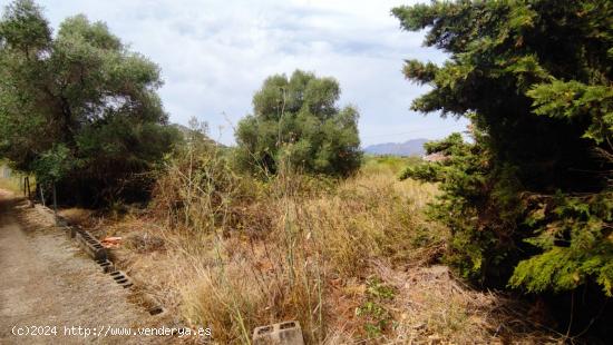 TERRENO RÚSTICO DE MÁS 12.000M2 CON LUZ, AGUA, LICENCIA Y PROYECTO PARA CONSTRUIR CASA. - ALICANTE