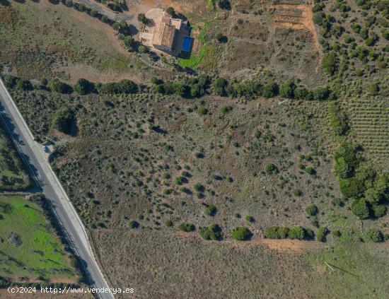 Gran terreno con proyecto en Sa Coloni de Sant Pere - BALEARES