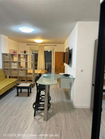 ALQUILER DE ESTUDIO ZONA CAROLINAS BAJAS - ALICANTE