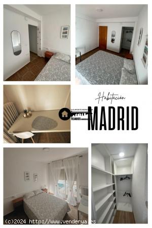 INMOBILIARIA TEJARES ALQUILA HABITACIONES - ALBACETE