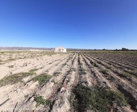 Parcela para vivienda unifamiliar en el campillo - MURCIA