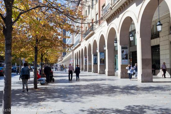 OFICINAS JUNTO A PLAZA ESPAÑA - ZARAGOZA