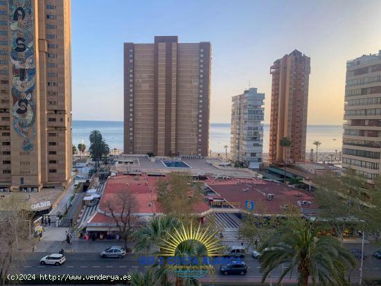  Se Vende en Benidorm - ALICANTE 