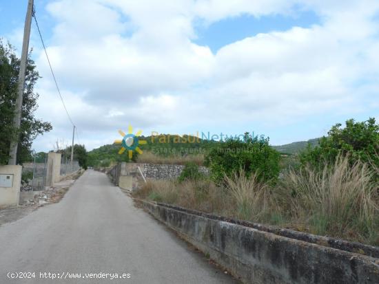 Terreno rustico de venta en Villalonga - VALENCIA