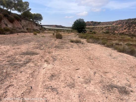  Parcela de Regadío - Cordones, Alhama de Murcia - MURCIA 