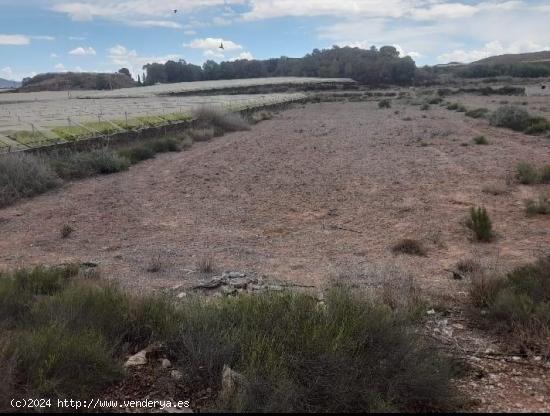 Parcela regadíoi - Cordones, Alhama de Murcia - MURCIA