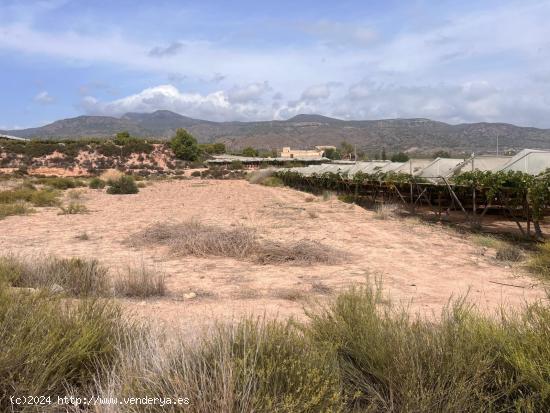 Parcela regadíoi - Cordones, Alhama de Murcia - MURCIA