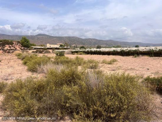 Parcela regadíoi - Cordones, Alhama de Murcia - MURCIA