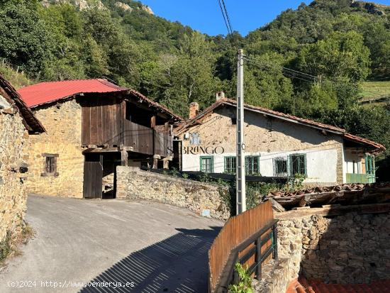 ¡¡NATURALEZA EN ESTADO PURO!! REALIZA EL PROYECTO DE TUS SUEÑOS EN LIÉBANA. (Ver vídeo) - CANTA