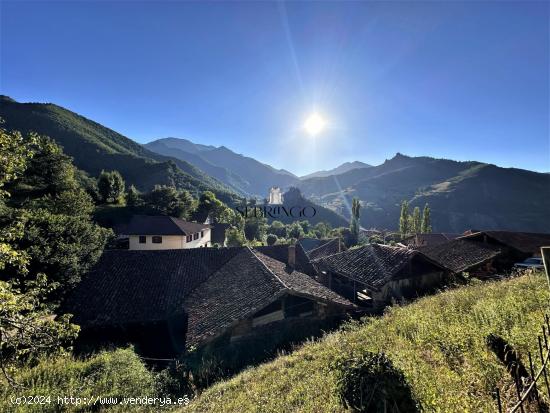 ¡¡NATURALEZA EN ESTADO PURO!! REALIZA EL PROYECTO DE TUS SUEÑOS EN LIÉBANA. (Ver vídeo) - CANTA