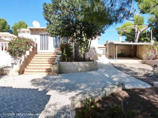 Finca en venta en Pilar de la Horadada (Alicante)