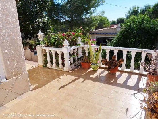 Finca en venta en Pilar de la Horadada (Alicante)