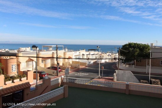  Estudio en venta en Torrevieja (Alicante) 