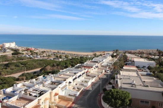 Estudio en venta en Torrevieja (Alicante)