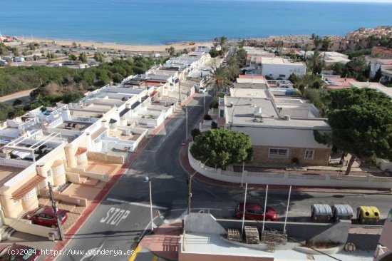 Estudio en venta en Torrevieja (Alicante)