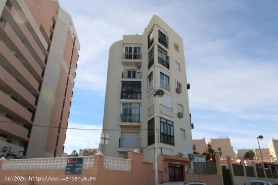 Estudio en venta en Torrevieja (Alicante)