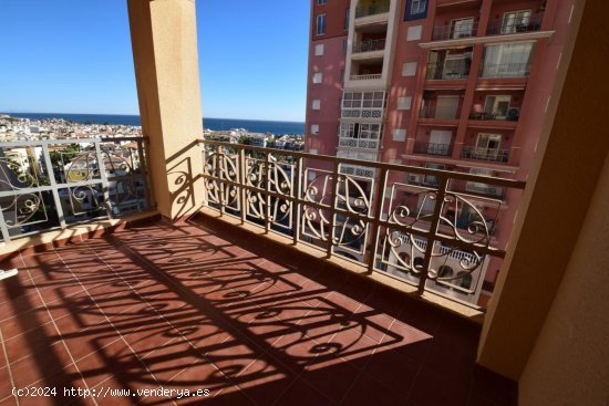  Apartamento en alquiler en Torrevieja (Alicante) 