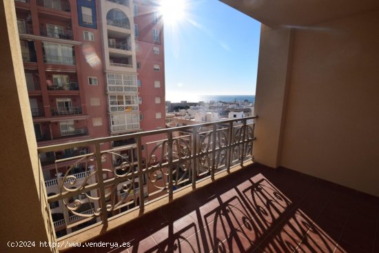 Apartamento en alquiler en Torrevieja (Alicante)