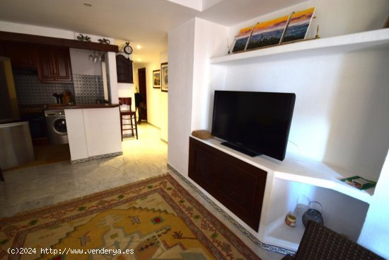 Apartamento en alquiler en Torrevieja (Alicante)