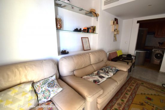 Apartamento en alquiler en Torrevieja (Alicante)