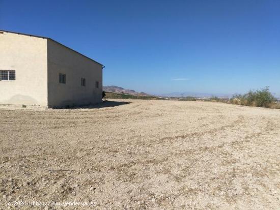 TERRENO RUSTICO EN ORIHUELA  TOTALMENTE VALLADO CON NAVE - ALICANTE