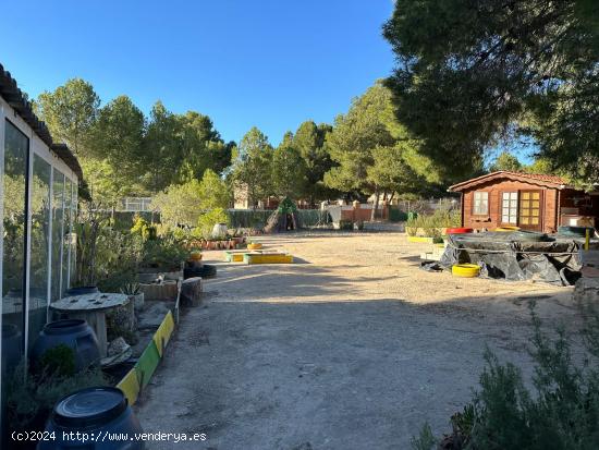 PARCELA EN FINCA TEROL - JIJONA - ALICANTE