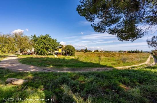  Masía en Palma de Mallorca de 1000 m² – Terreno de 34,000 m² con Inmenso Potencial - BALEARES 