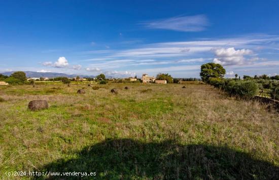 Masía en Palma de Mallorca de 1000 m² – Terreno de 34,000 m² con Inmenso Potencial - BALEARES