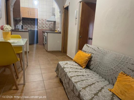 COQUETO APARTAMENTO EN EL CENTRO DE VEJER - CADIZ