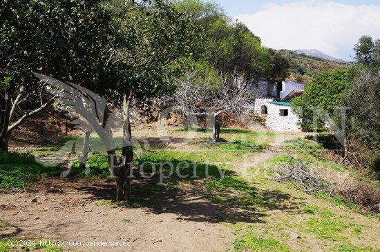 Suelo rústico en Venta en Casares Málaga