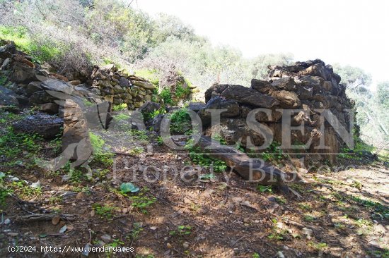 Suelo rústico en Venta en Casares Málaga