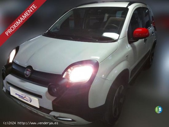  FIAT Panda en venta en Almagro (Ciudad Real) - Almagro 