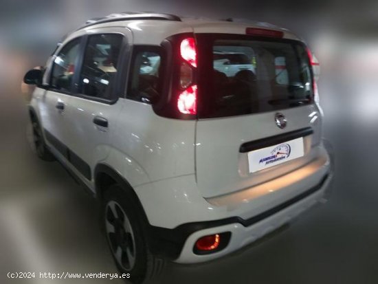 FIAT Panda en venta en Almagro (Ciudad Real) - Almagro