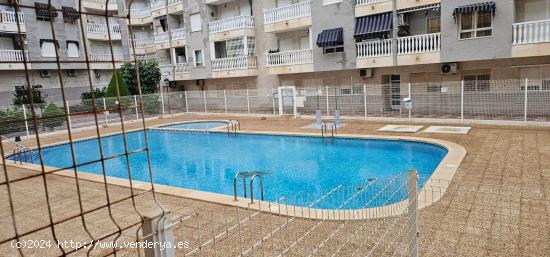  TORREVIEJA 3 HABS PISCINA 138.000 EUROS - ALICANTE 