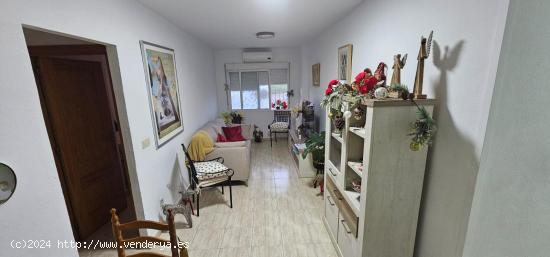 TORREVIEJA 3 HABS PISCINA 138.000 EUROS - ALICANTE