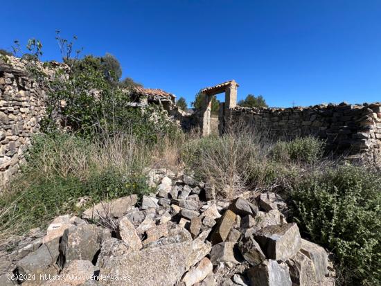 FINCA RÚSTICA CON  23.000 M2 CON CULTIVO DE OLIVOS Y ALMENDROS - VALENCIA