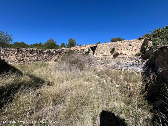 FINCA RÚSTICA CON  23.000 M2 CON CULTIVO DE OLIVOS Y ALMENDROS - VALENCIA