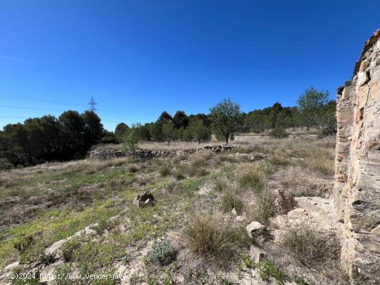 FINCA RÚSTICA CON  23.000 M2 CON CULTIVO DE OLIVOS Y ALMENDROS - VALENCIA