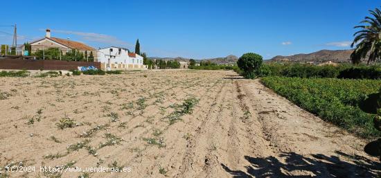 Terreno rústico en huerta de El Esparragal - MURCIA