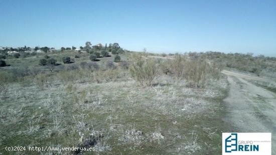  TERRENO DE 88.575 M2 EN SECTOR S-28, OLÍAS DEL REY, TOLEDO - TOLEDO 