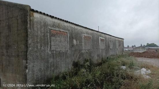 TERRENO URBANIZABLE EN MORALEJA - CACERES