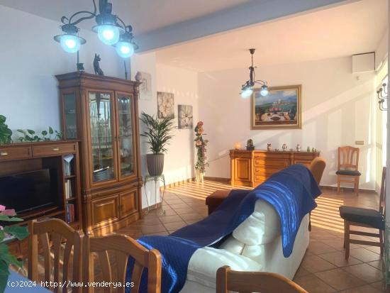 ¡Se vende casa con terreno en Llano de Brujas! - MURCIA