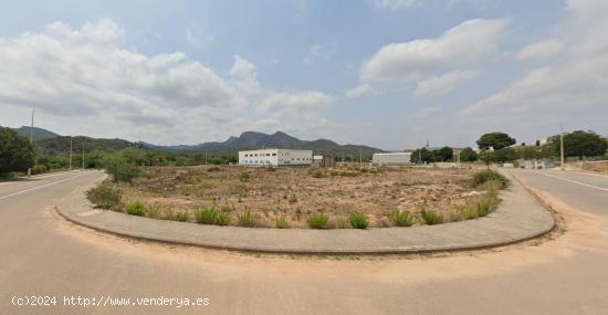 TERRENO INDUSTRIAL EN VENTA EN ALBALAT DELS TARONGERS - VALENCIA