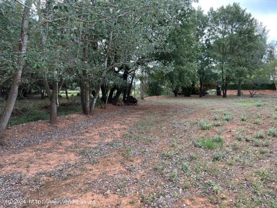 Terreno urbanizable en Mas Ferrer - Begues. - BARCELONA