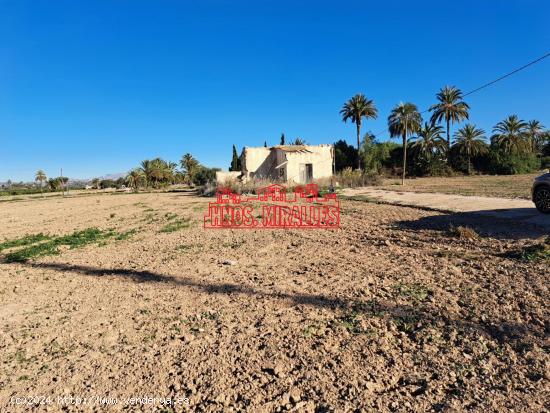  SE VENDE FINCA RURAL EN LA PARTIDA DE PUÇOL (A 5 KM DE ELCHE) - ALICANTE 