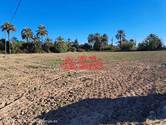 SE VENDE FINCA RURAL EN LA PARTIDA DE PUÇOL (A 5 KM DE ELCHE) - ALICANTE