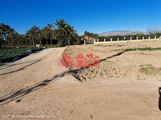 SE VENDE FINCA RURAL EN LA PARTIDA DE PUÇOL (A 5 KM DE ELCHE) - ALICANTE