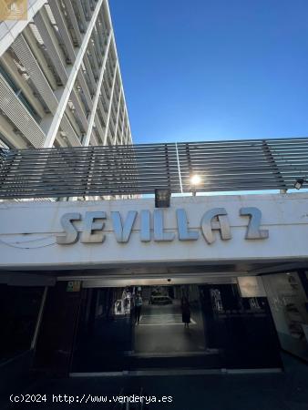 Se Alquila en Sevilla - SEVILLA