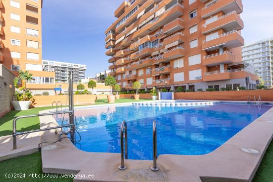 ESPECTACULAR INMUEBLE EN UNA DE LAS ZONAS MÁS COTIZADAS DE ALICANTE PAU 5 - ALICANTE